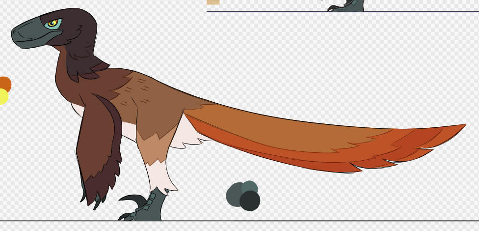 Coloured Concept
