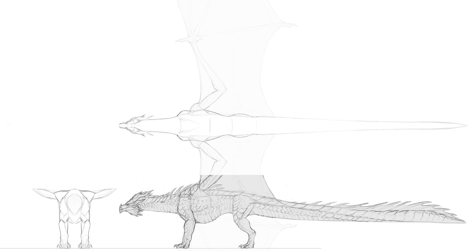Multi-Orthographic Concept