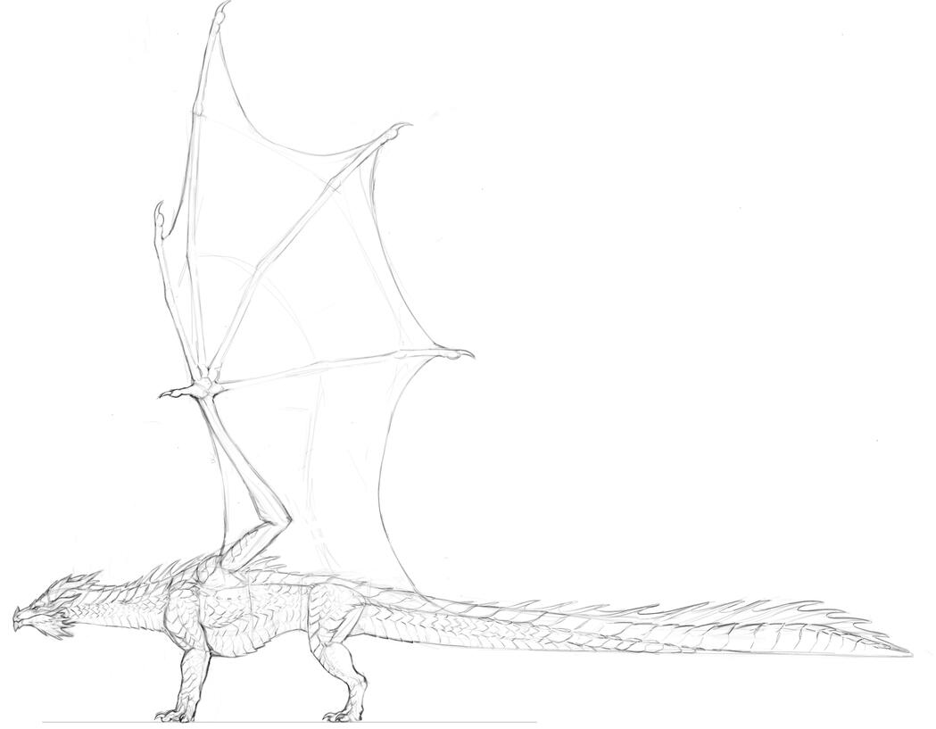 Side-View Concept