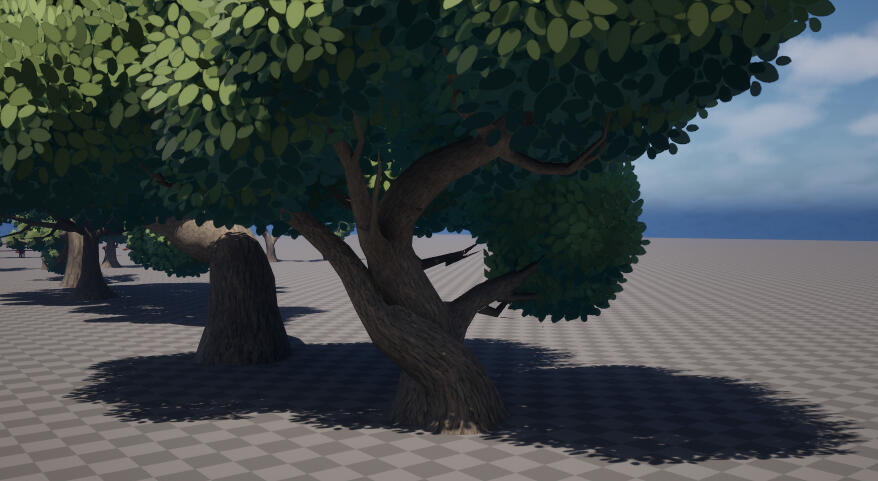 Large Tree Closeup
