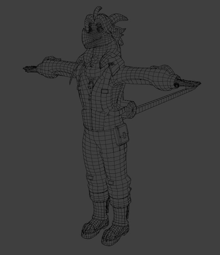 Wireframe Perspective View