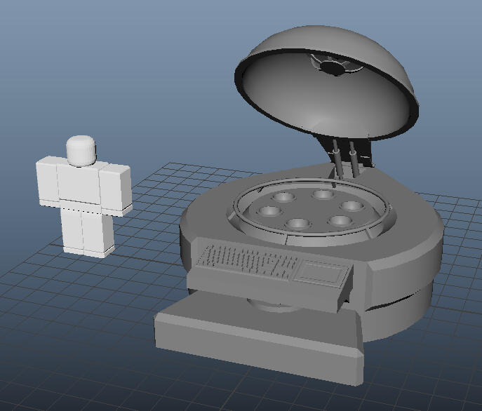 Viewport Display