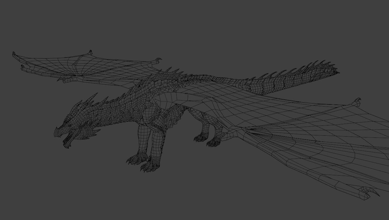 Wireframe Perspective Wireframe Perspective