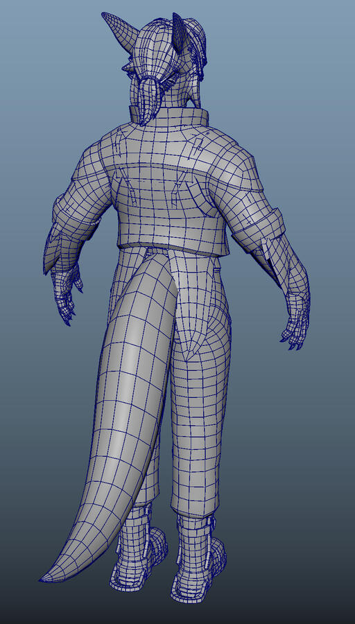 Wireframe Back Wireframe Back